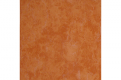 L1
